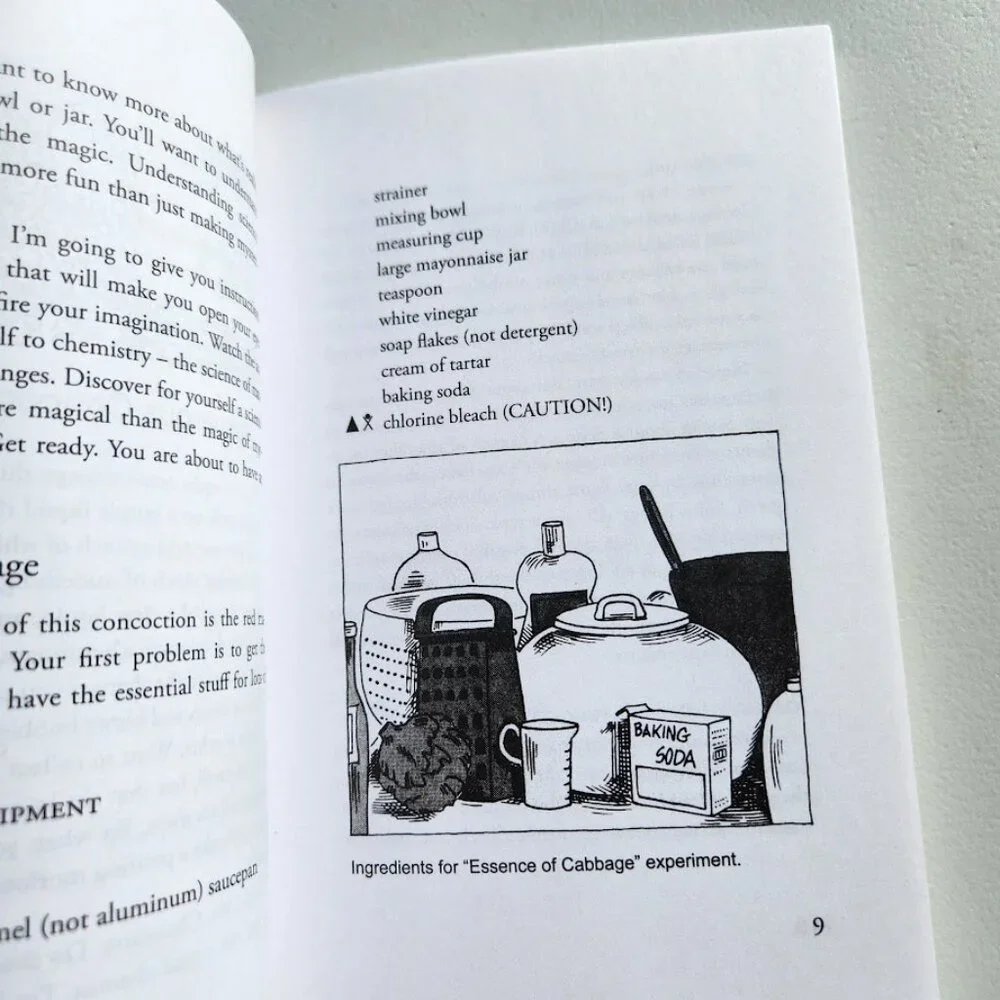 Chemically Active! Experiments You Can Do at Home Science Book Paperback by Vick